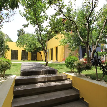 Jardines de Luz-3