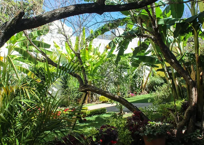 Jardines de Luz